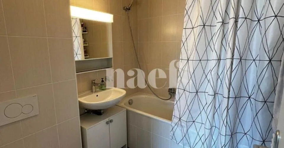 Duplex mit 4.5 Zimmern und Blick auf den Salève – Foto 9 von 22