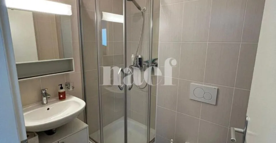 Duplex mit 4.5 Zimmern und Blick auf den Salève – Foto 10 von 22