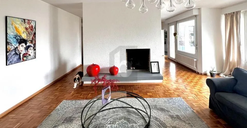 LARGE FURNISHED APARTMENT FOR SUBLET