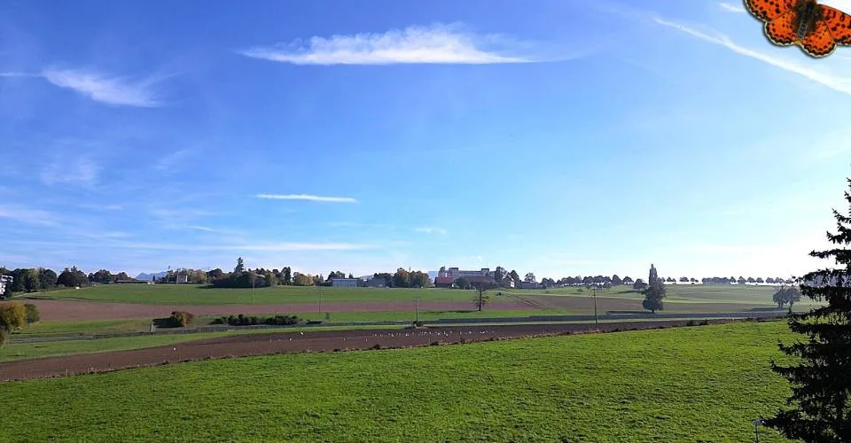 3½ pièces avec balcon plein sud à Givisiez – foto 2 di 14