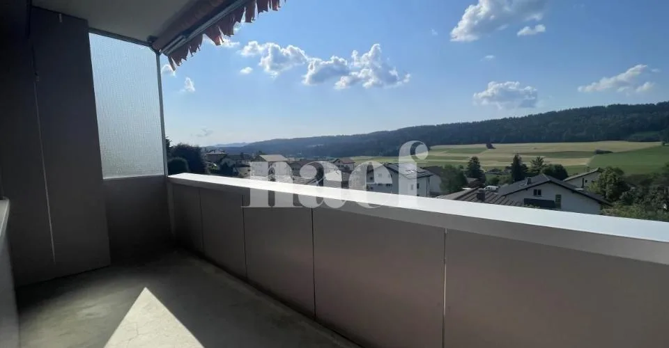 RENOVE - Magnifique appartement lumineux de 3 pièces à Tramelan – photo 8 of 14