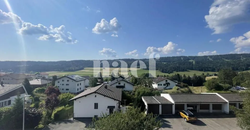 RENOVE - Magnifique appartement lumineux de 3 pièces à Tramelan – photo 9 of 14