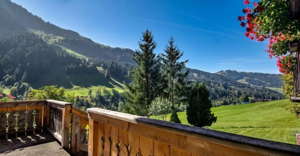 Großes Anwesen mit 2 Chalets zum Verkauf! – Foto 20 von 24