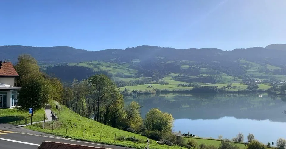Avry-dvt-Pont - Magnifique villa de 6.5 pièces à louer – foto 3 di 12