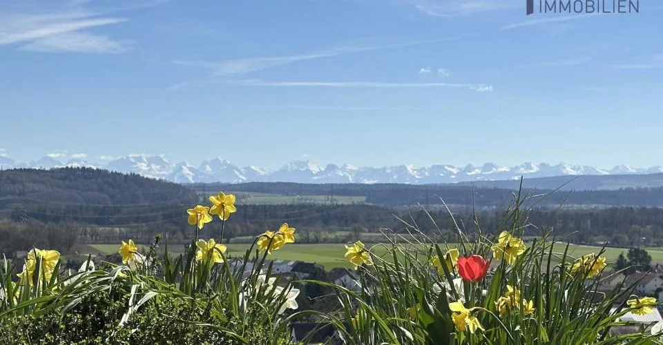 Fehr Immobilien - 5.5-Zi.-Terrassenappartement mit herrlicher Aussicht – foto 15 di 27