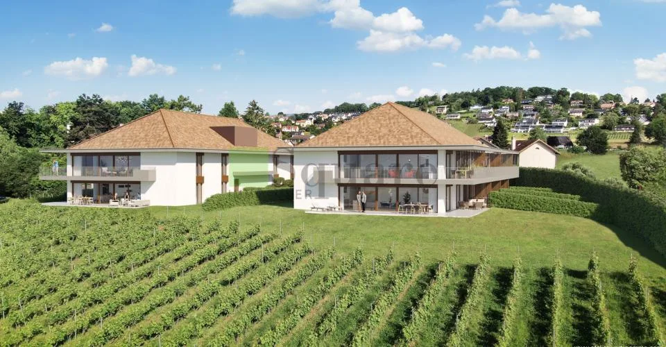 Magnifique 3,5 pièces dans une nouvelle résidence au cœur des vignes – photo 3 sur 11