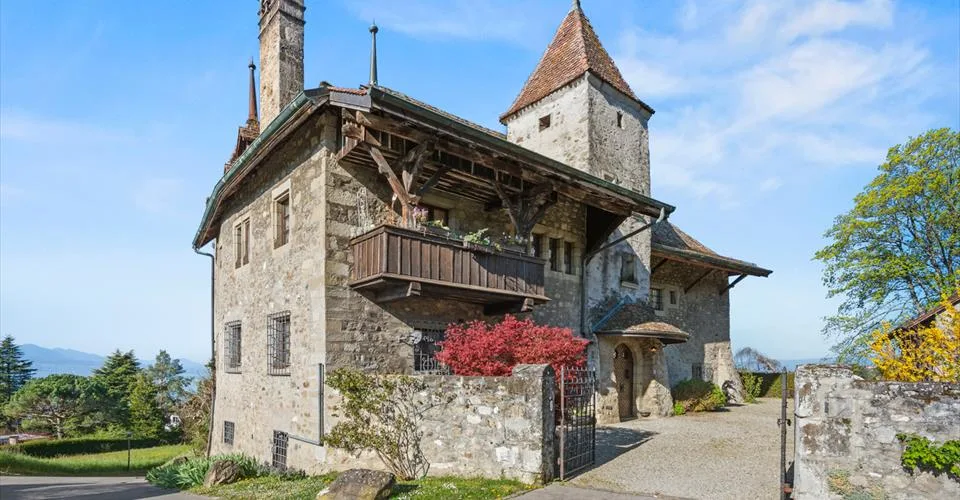 Château de Bochat Authentique et de nature familiale – Foto 16 von 24