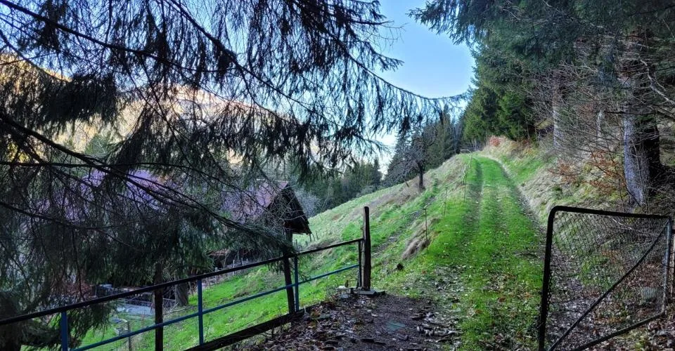 Ancienne ferme de 1916 au coeur de la nature - Val d'Illiez – photo 10 sur 19