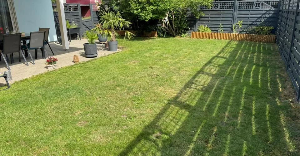 Casa indipendente luminosa e calma a Cudrefin – a due passi dal lago di Neuchâtel. – foto 4 di 42