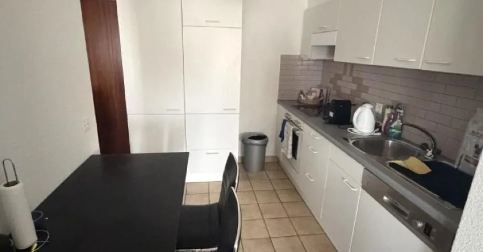 Appartamento di due e mezzo locali in quartiere tranquillo – foto 3 di 16