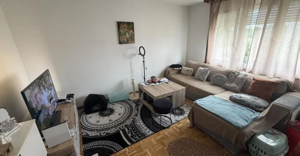 Appartamento di due e mezzo locali in quartiere tranquillo – foto 2 di 16