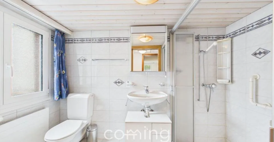 Appartement 4.5 pièces lumineux avec terrasse à Saas-Balen à vendre – photo 25 sur 32