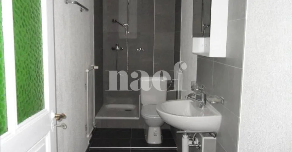 1er loyer net offert - Appartement spacieux de 4 pièces – photo 6 sur 16