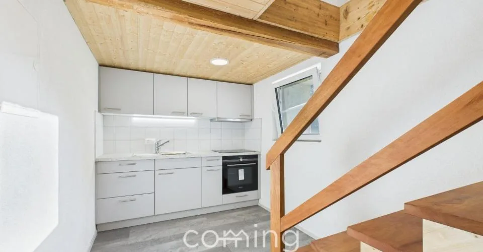 Appartement neuf de 1,5 pièce à Hohtenn, calme, ensoleillé et avec vue sur la montagne