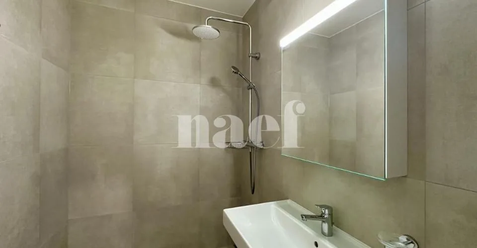 CHAMPEL - Entièrement rénové - beau 4 pièces au 4ème étage d'un immeuble résidentiel – photo 10 sur 25