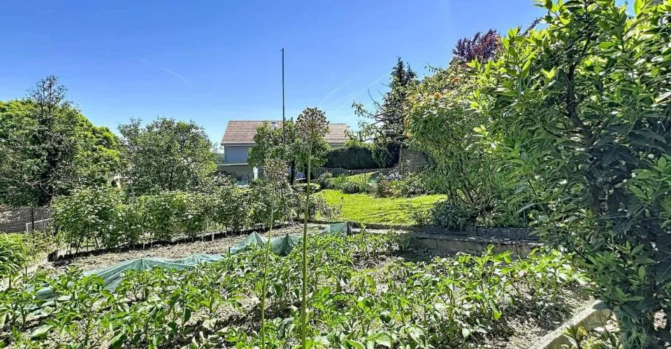 Maison de 6.5 pièces avec potentiel de construction – photo 13 of 26