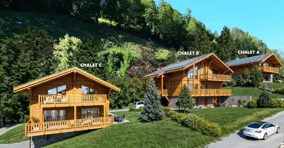 Les Sciernes-d'Albeuve - Chalets contemporains – photo 3 of 24