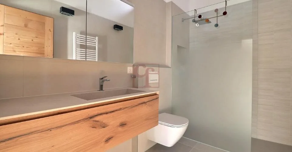Les Sciernes-d'Albeuve - Chalets contemporains – photo 13 of 24