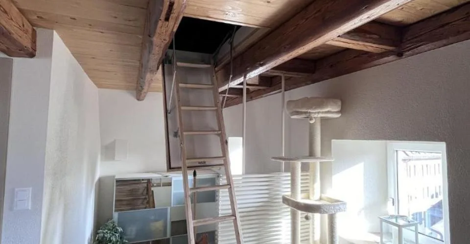 Magnifique appartement de 3.5 pièces proche du centre-ville – Foto 6 von 24