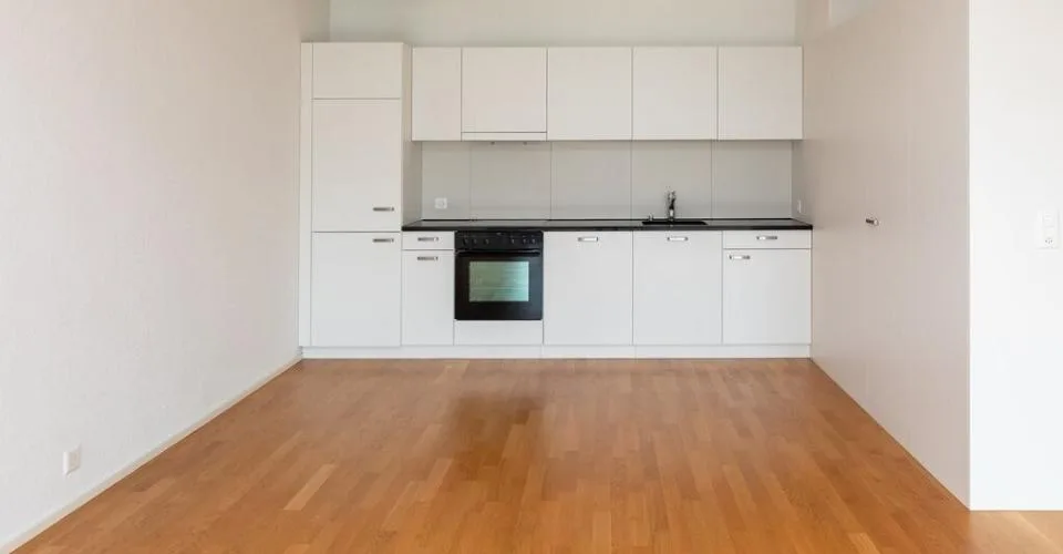 Appartamento 2.5 locali luminoso e bellissimo in affitto nel quartiere 4 – foto 10 di 15