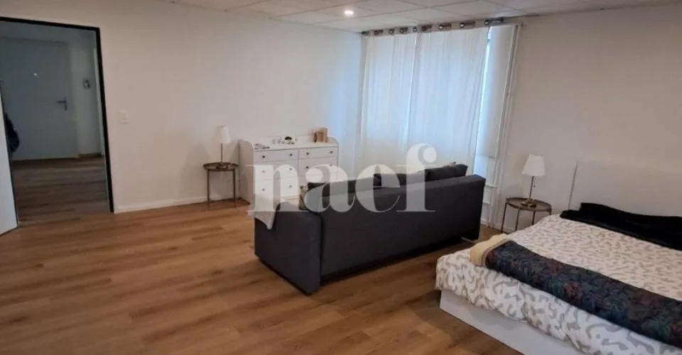 Appartement MEUBLÉ (à choix) de 2 pièces – Foto 2 von 12