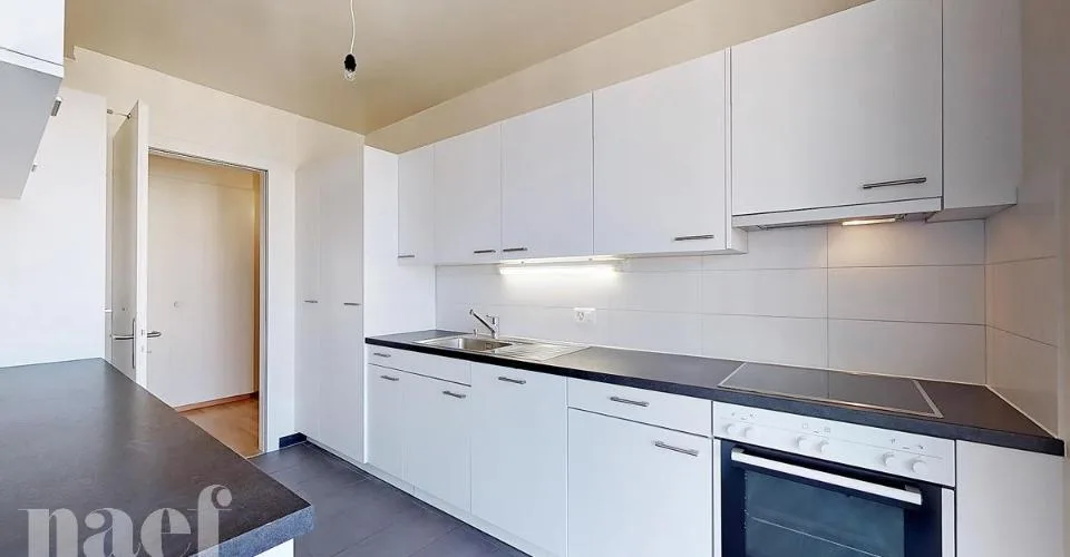 Bello duplex a Carouge situato in Rue des Caroubiers 15 – foto 5 di 17