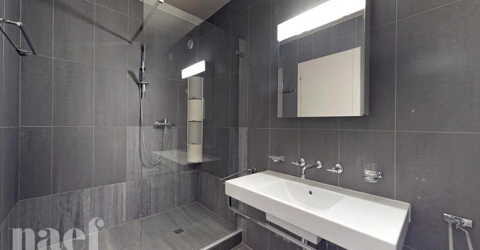 Bello duplex a Carouge situato in Rue des Caroubiers 15 – foto 12 di 17