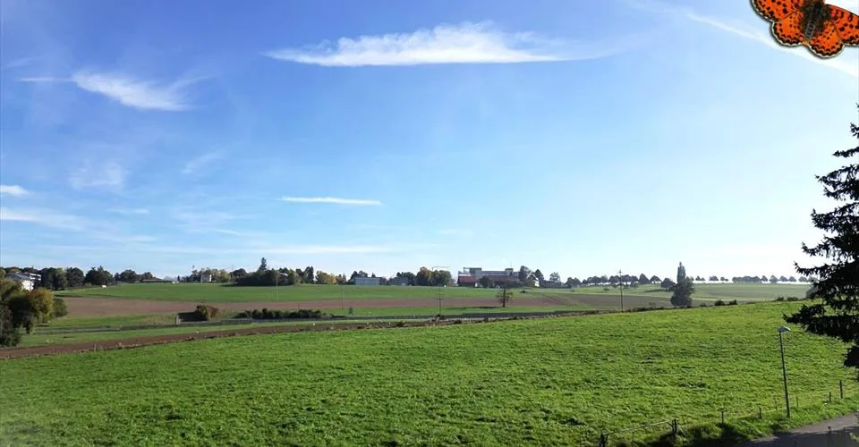 3½ Zimmer mit Südbalkon in Givisiez – Foto 10 von 14