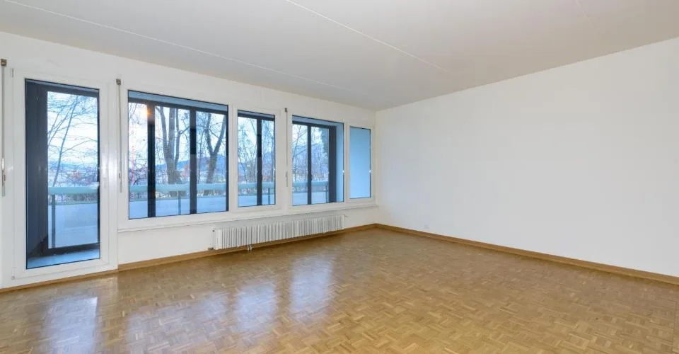 Appartamento duplex a Petit-Lancy! – foto 4 di 18