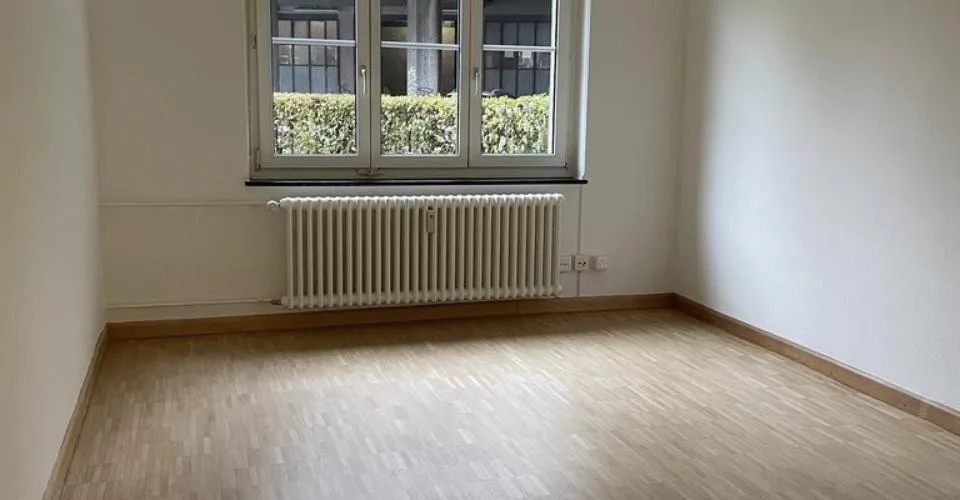 Schöne 1-Zimmerwohnung im Lehenmattquartier – foto 13 di 16