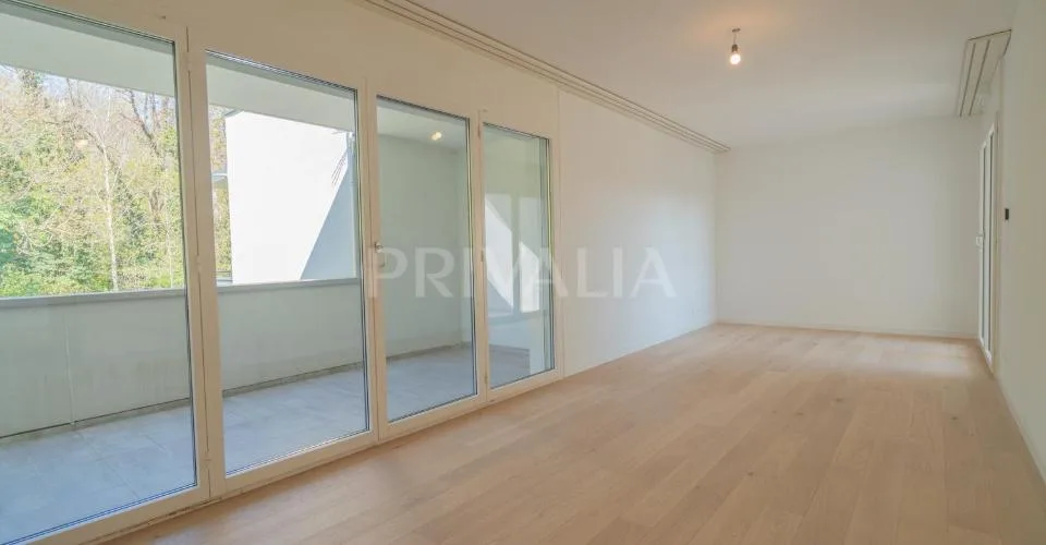 Superbe attique en duplex rénové avec terrasses et vue dégagée – foto 21 di 26