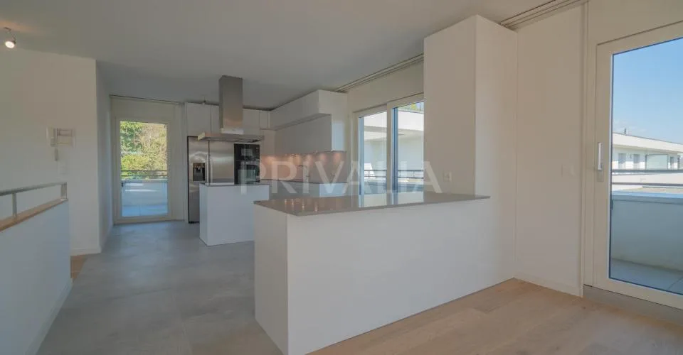 Superbe attique en duplex rénové avec terrasses et vue dégagée – foto 17 di 26