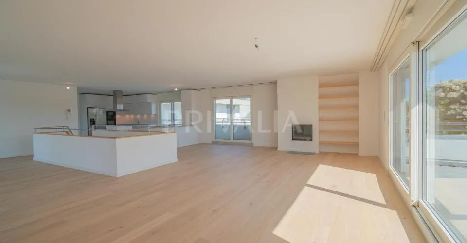 Superbe attique en duplex rénové avec terrasses et vue dégagée – foto 15 di 26