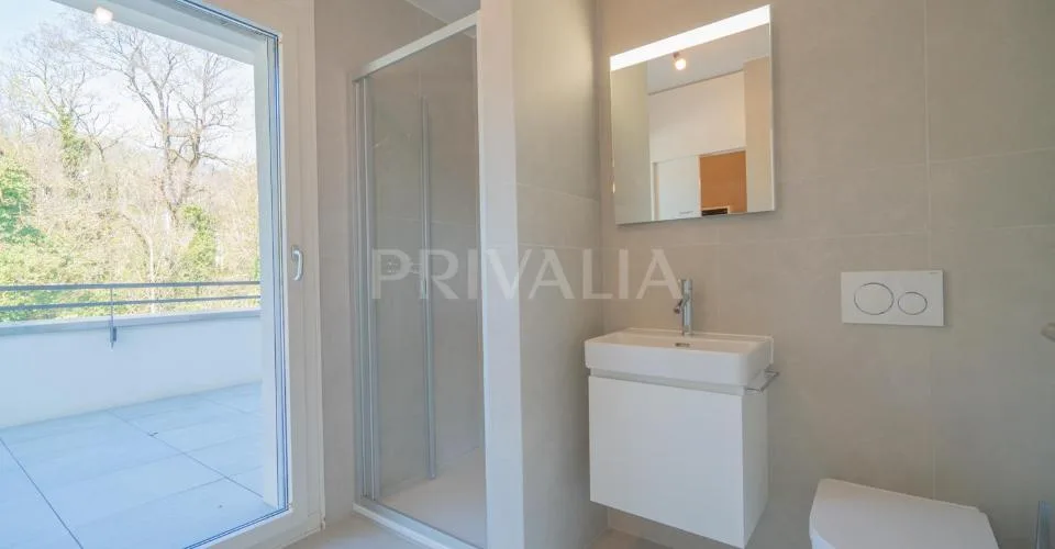 Superbe attique en duplex rénové avec terrasses et vue dégagée – foto 18 di 26