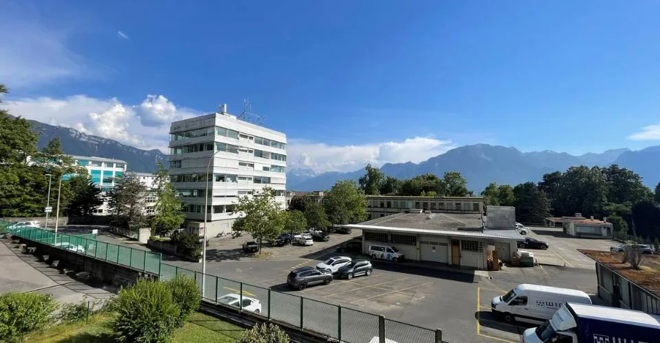 Incantevole appartamento di 2,5 locali per investitori – foto 3 di 18