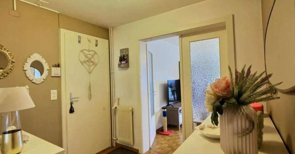 Incantevole appartamento di 2,5 locali per investitori – foto 6 di 18
