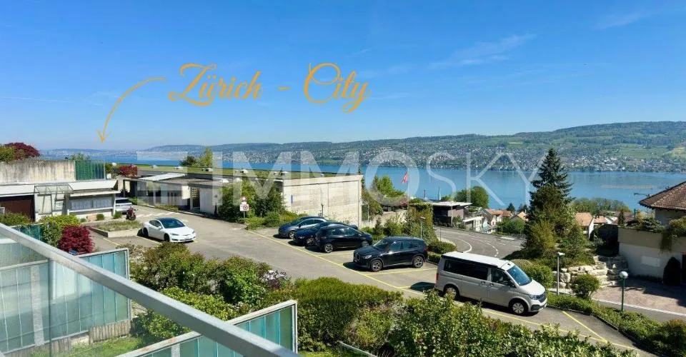 Ihr neues Zuhause mit Panoramasicht von Zürich bis in die Alpen – photo 10 sur 16