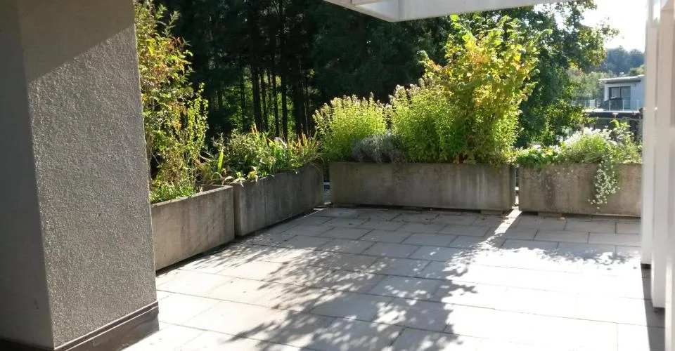 Wohntraum Attika - im bevorzugten Haslenquartier mit 2 Terrassen! – photo 13 sur 19