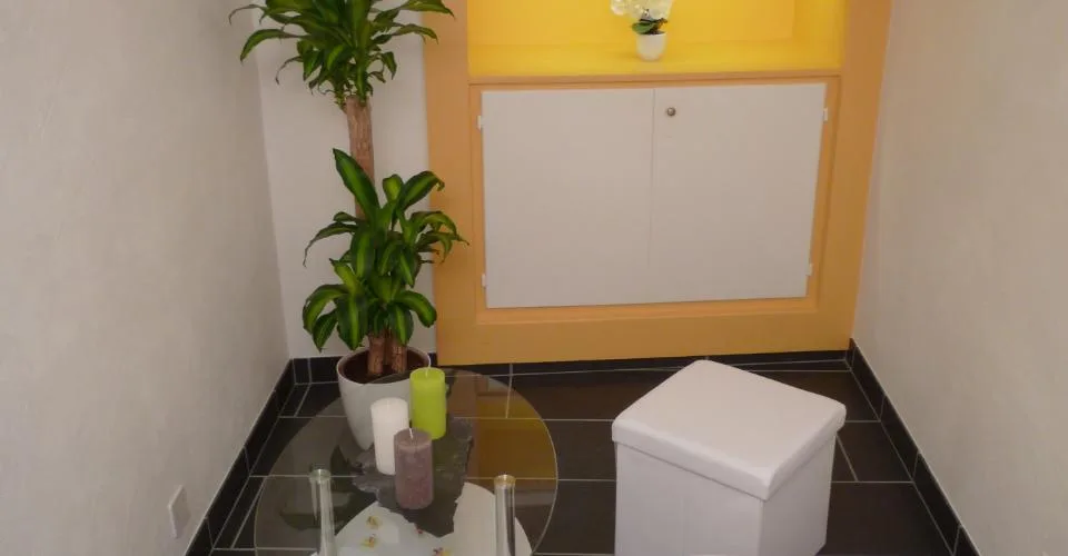 Bello appartamento di 3 locali con terrazza a Saillon Vieux Bourg