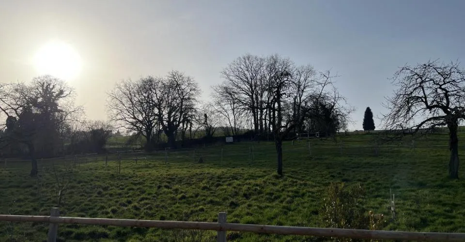 Villa contemporaine entre nature et sérénité – Foto 6 von 21