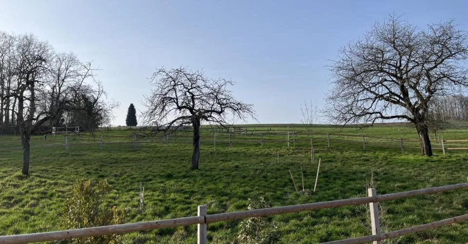 A PARTIR DE CHF 895'000.-
