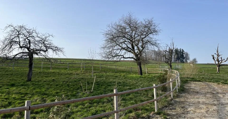 Villa contemporaine entre nature et sérénité – Foto 11 von 21