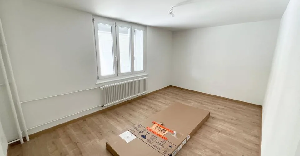 Appartement rénové de 3 pièces avec terrasse privée – photo 5 sur 16