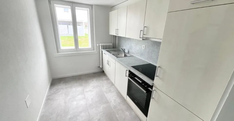Appartement rénové de 3 pièces avec terrasse privée – photo 2 sur 16