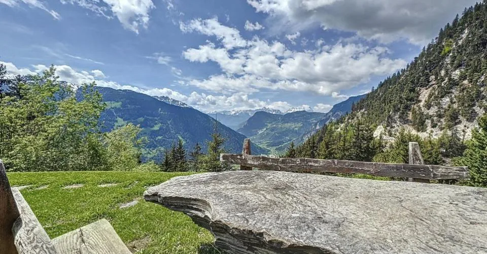 3 Zimmer Chalet in Sarreyer – foto 19 di 29
