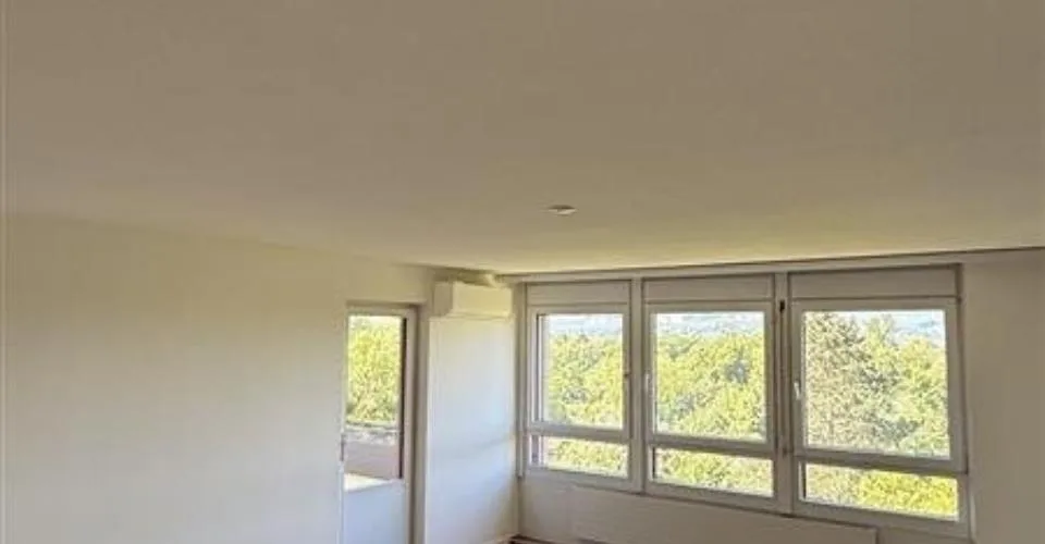 4.5-room apartment with air conditioning and a great view in Liebrüti