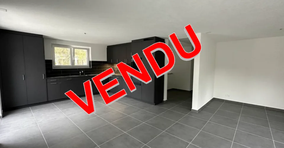 Sonvilier, villa mitoyenne NEUVE clé en main avec 2 garages – photo 1 sur 24