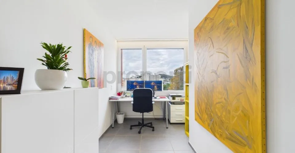 Attic Duplex 4.5 rooms Renovated in Massagno - primary and secondary residence – photo 23 of 32