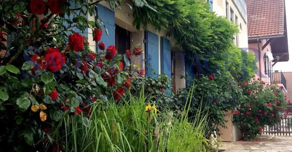 Fontaines-sur-Grandson, Magnifique maison de Village - Vente à terme – Foto 2 von 26