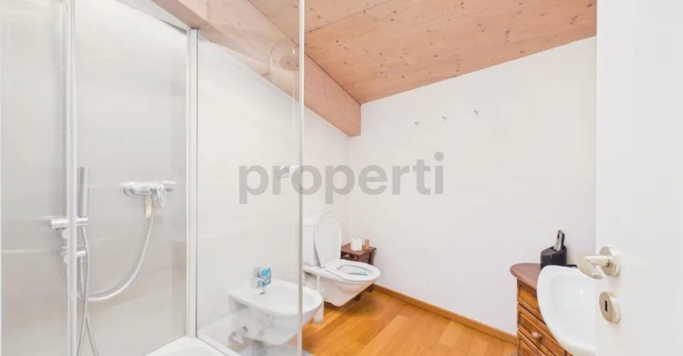Renovierte Palazzina im Herzen von Contone: ein faszinierendes Dachgeschoss-Duplex und zwei bereits vermietete Wohnungen. – Foto 11 von 28